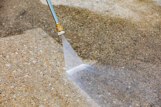 Best Building Exterior Washing  in West Columbia, TX