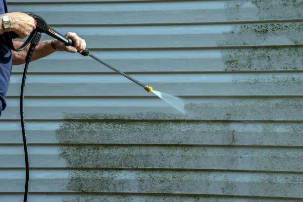Best Driveway Pressure Washing  in West Columbia, TX