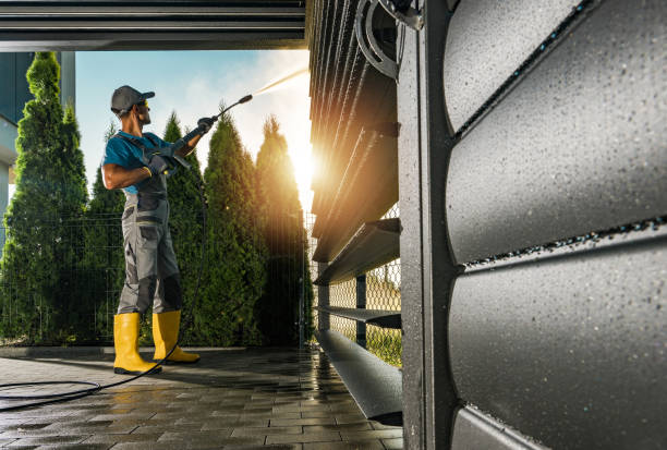 Best Roof Washing  in West Columbia, TX